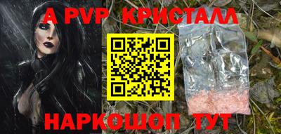 прущие грибы Тверь