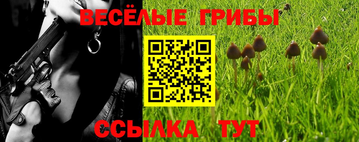 Галлюциногенные грибы Magic Shrooms Северск