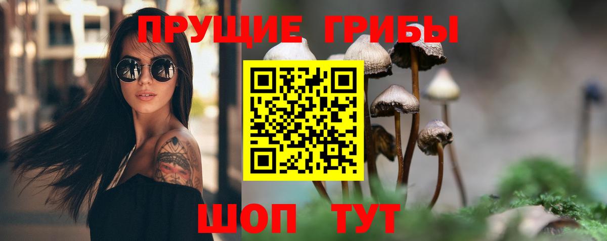 Псилоцибиновые грибы Cubensis  купить наркотики сайты  Северск  Вход с VPN 